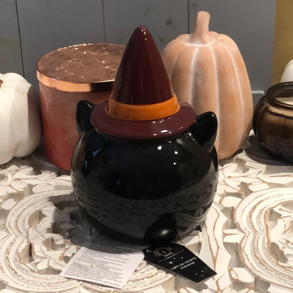 Target Bullseye’s Playground Halloween Light-Up Ceramic Witch Black Cat Decor
